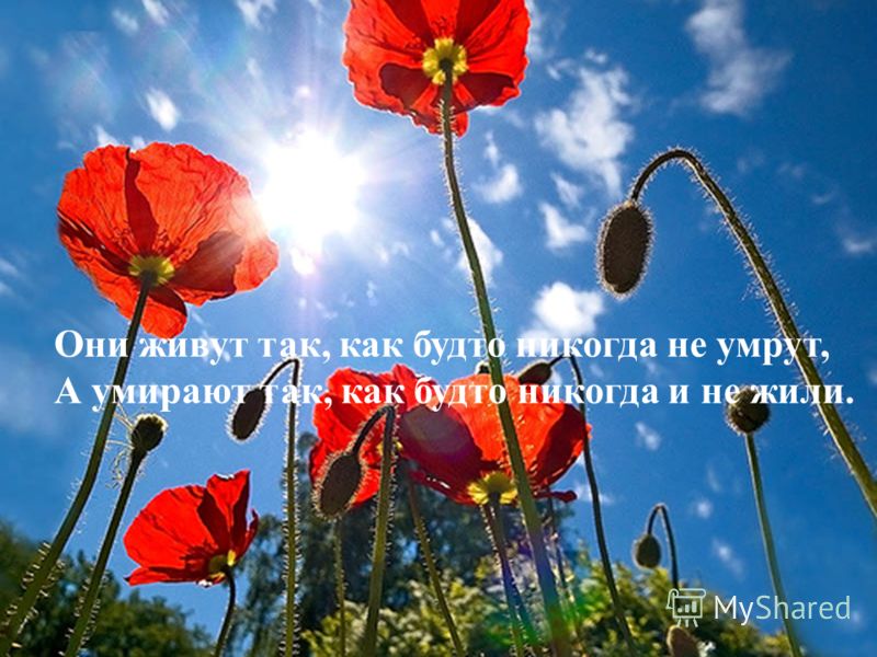 Как заставить человека сделать то что мне надо Как заставить человека сделать то что мне надо