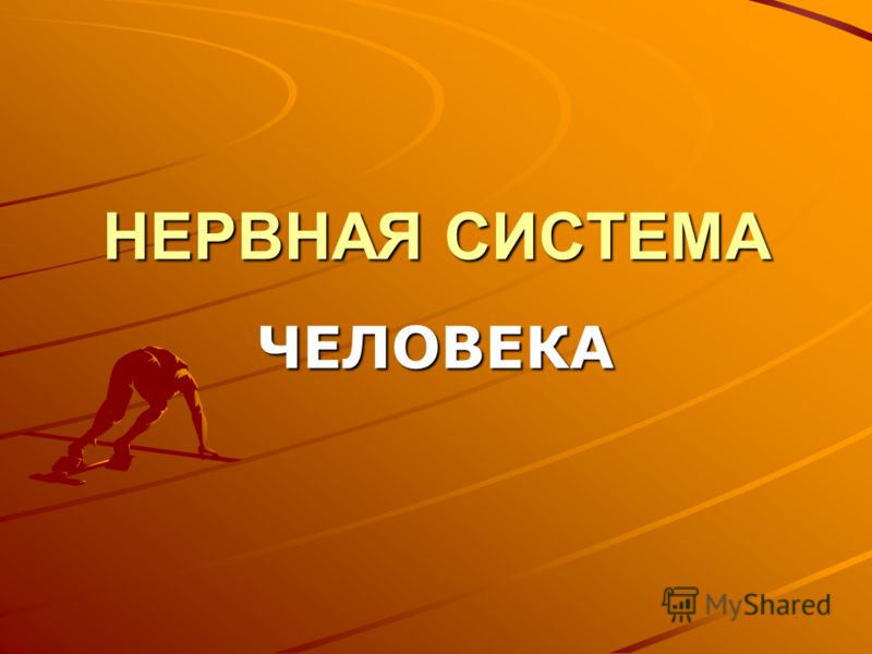 чувства человека список