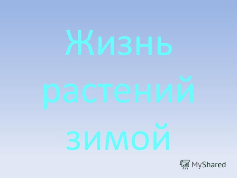 Картинки для презентации деревья зимой Картинки для презентации деревья зимой