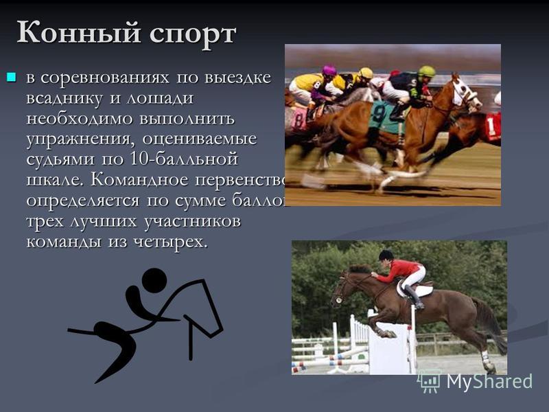 Конный спорт и конкурсы Конный спорт и конкурсы