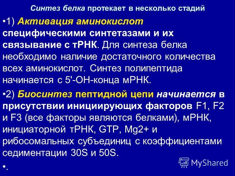 С биосинтезом белков связаны С биосинтезом белков связаны