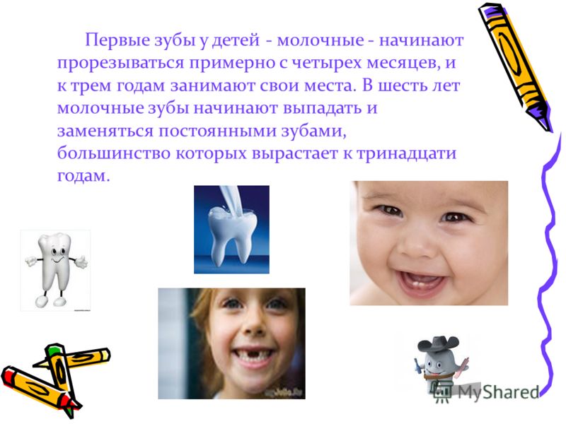 Как быстро появляются зубы у детей Как быстро появляются зубы у детей