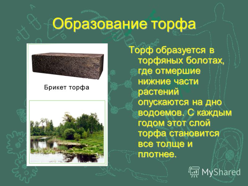 Рабочая программа по географии 7 класса на 2014 год