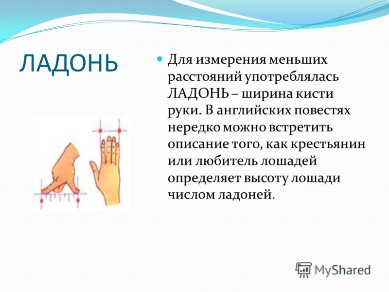 ЛАДОНЬ Для измерения меньших расстояний употреблялась ЛАДОНЬ – ширина кисти руки. В английских повестях нередко можно встретить описание того, как кре