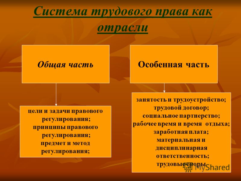 Система трудового права как отрасли Система трудового права как отрасли