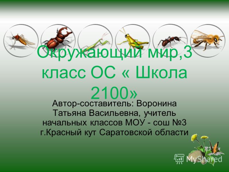 Методичкеские разработки дружбы
