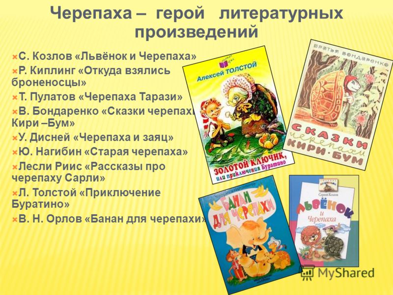 старая черепаха нагибин слушать старая черепаха нагибин слушать