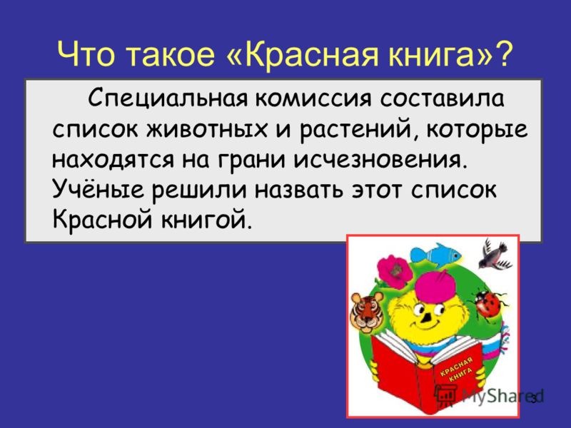 Рабочие программы по биологии в 6 классе