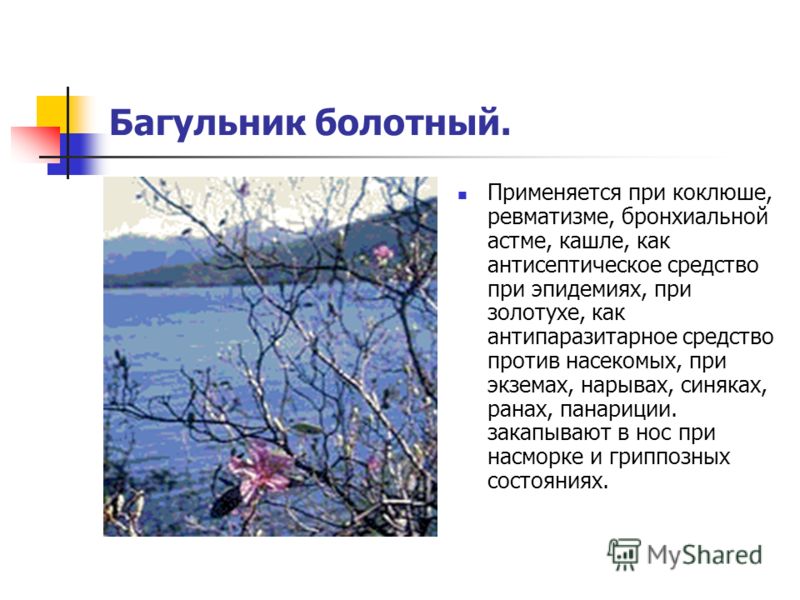 антипаразитарное средство bactefort отзывы антипаразитарное средство bactefort отзывы