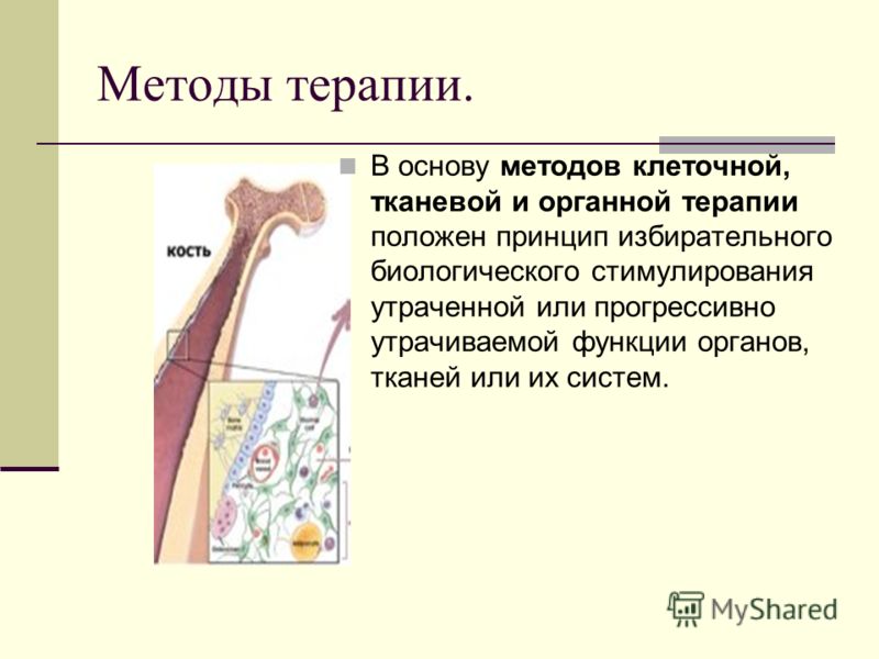 Детские поражения кожи Детские поражения кожи