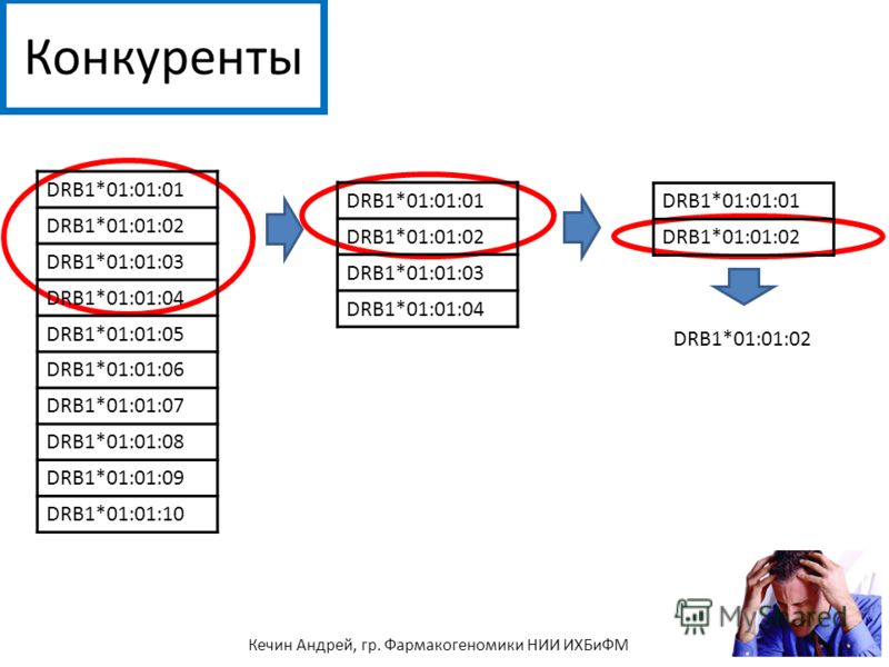 Конкуренты DRB1*01:01:01 DRB1*01:01:02 DRB1*01:0
		<!--