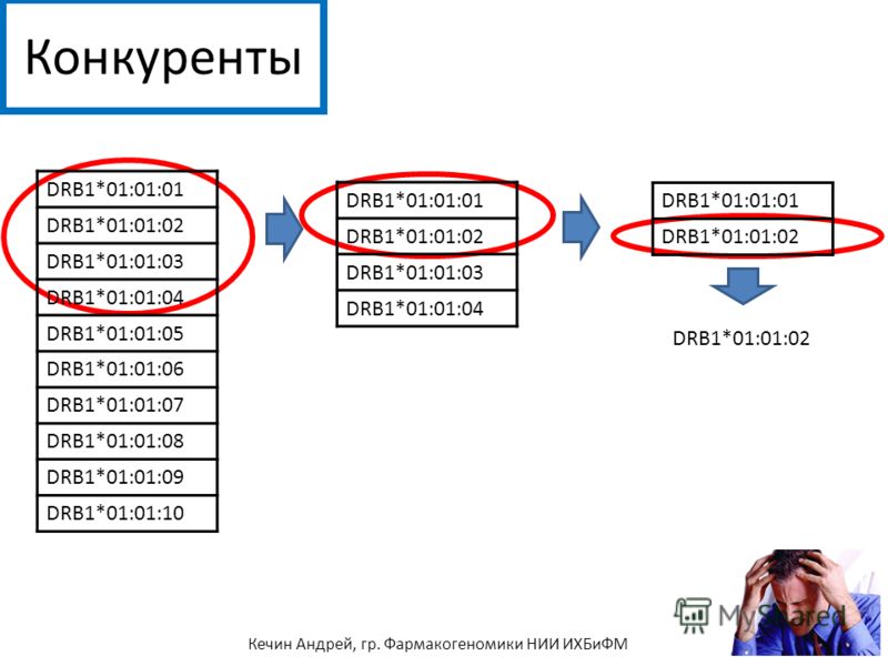 Конкуренты DRB1*01:01:01 DRB1*01:01:02 DRB1*01:01:03 DRB1*01:01:04 DRB1*01:01:05 DRB1*01:01:06 DRB1*01:01:07 DRB1*01:01:08 DRB1*01:01:09 DRB1*01:01:10