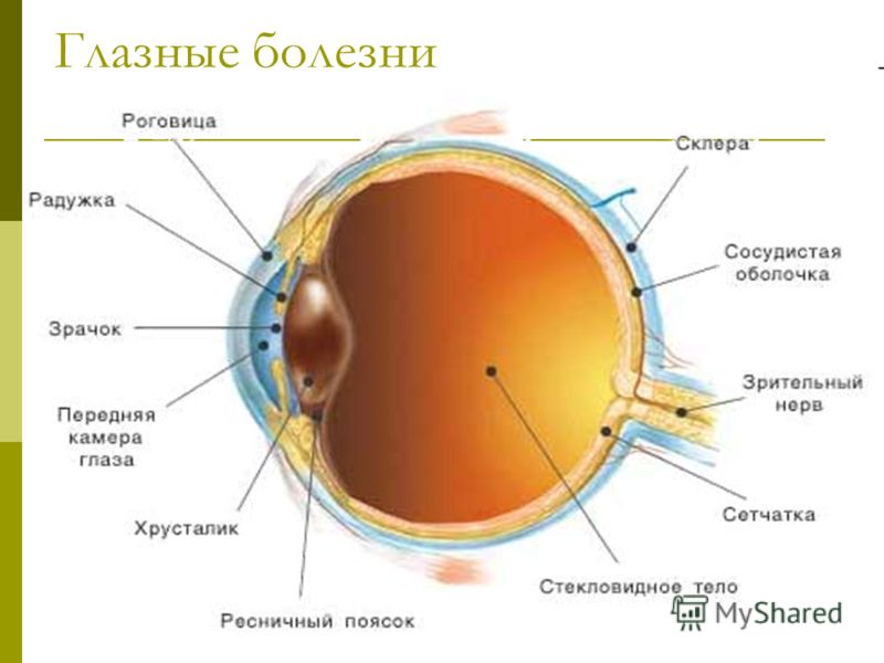 Болит живот и отдаёт грудь