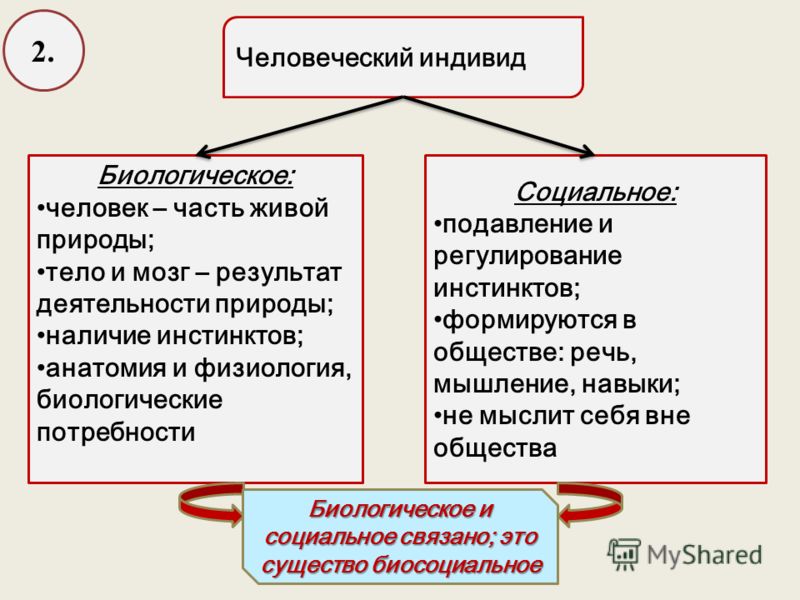 Программа поэтапного совершенствования оплаты труда приложение 3 Программа поэтапного совершенствования оплаты труда приложение 3