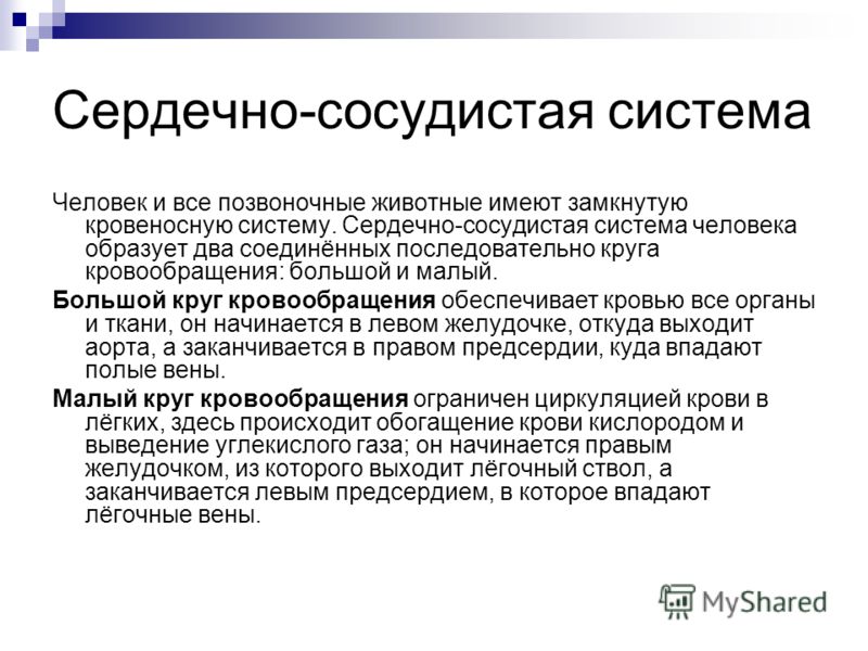 Как рисовать девушку-кошку в полный рост карандашом поэтапно Как превратить Mac в точку доступа Wi-Fi