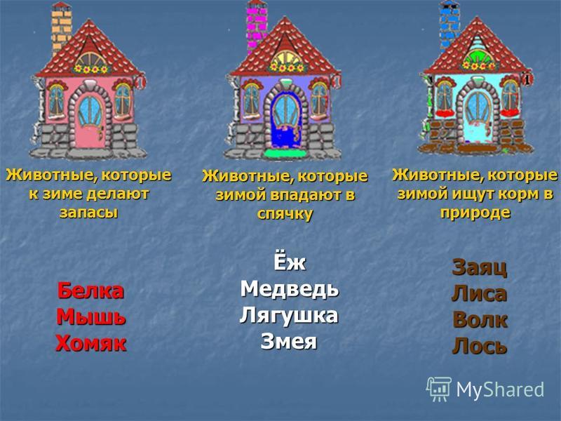 Картинки звери готовят запасы на зиму Картинки звери готовят запасы на зиму