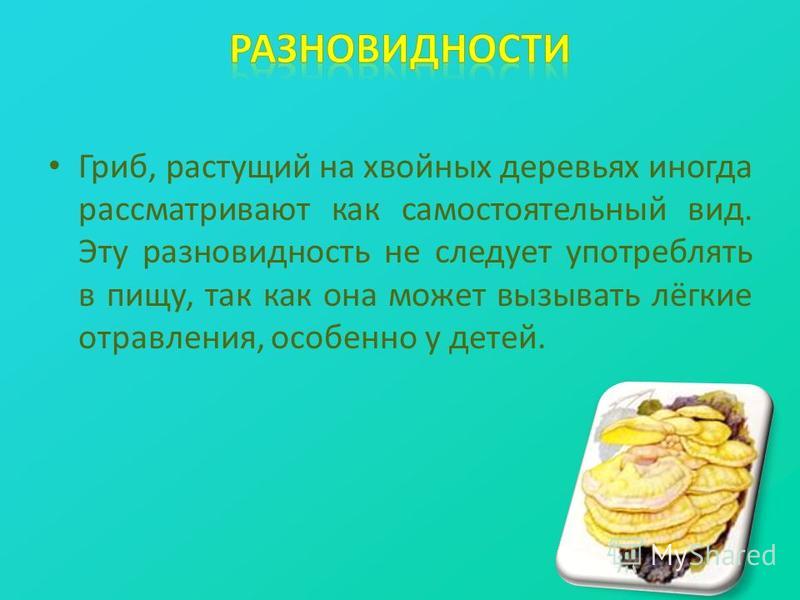 растущий паразит в организме растущий паразит в организме