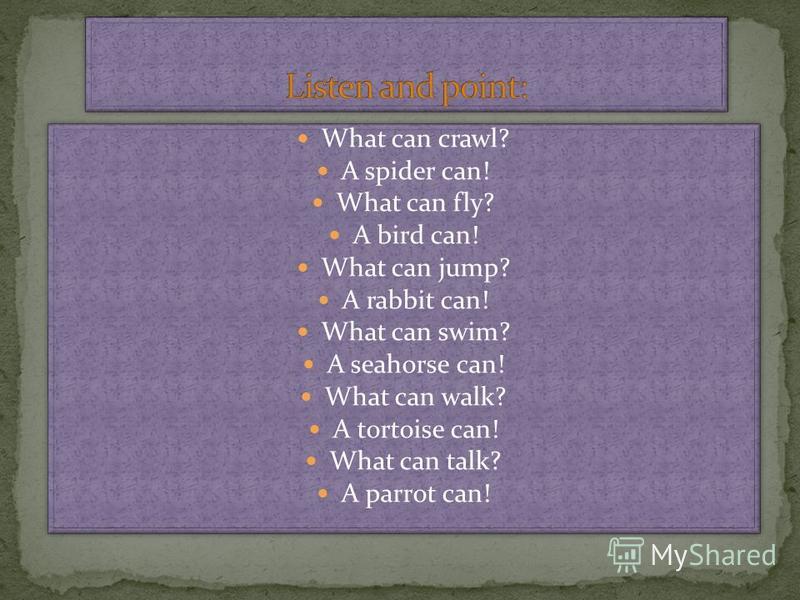 What can crawl? A spider can! What can fly? A bird can! What can jump? A rabbit can! What can swim? A seahorse can! What can walk? A tortoise can! What can talk? A parrot can! What can crawl? A spider can! What can fly? A bird can! What can jump? A r