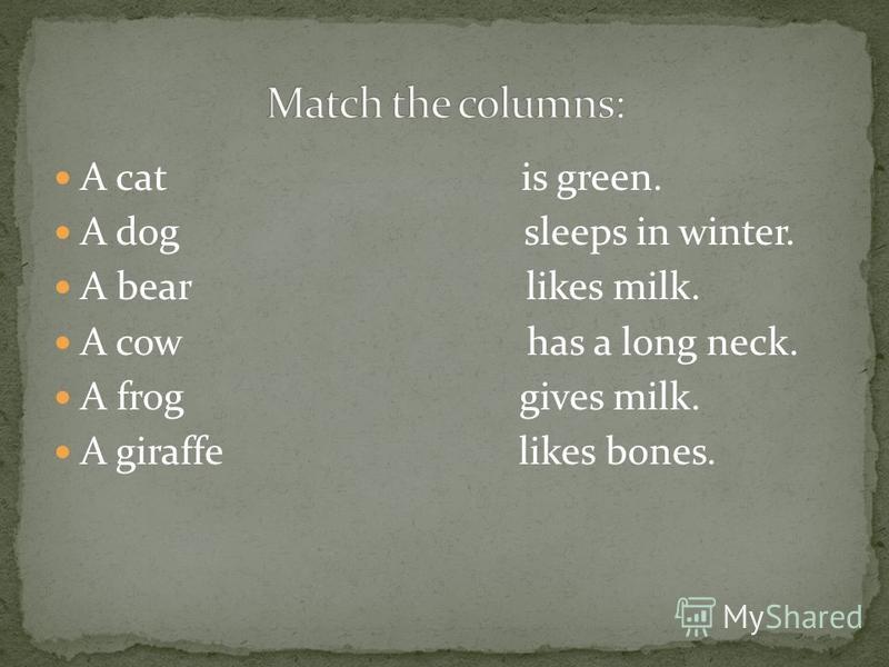 A cat is green. A dog sleeps in winter. A bear likes milk. A cow has a long neck. A frog gives milk. A giraffe likes bones.