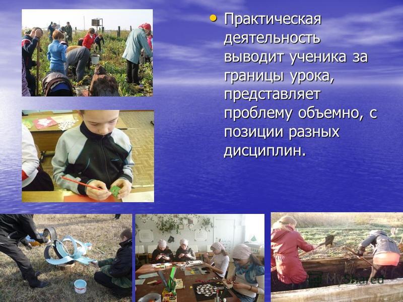 Пушкиния : посадка и уход, размножение, фото, описание Уголовная ответственность