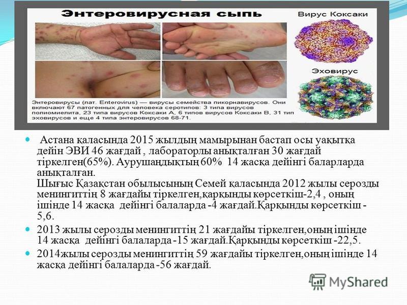 вирусная инфекция у котенка симптомы лечение вирусная инфекция у котенка симптомы лечение