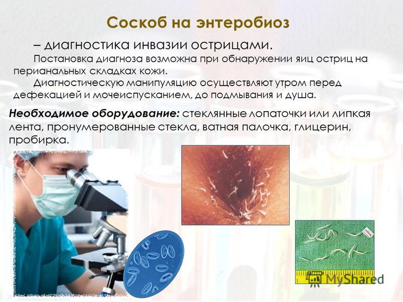 Соскоб на энтеробиоз как берут у детей в домашних условиях Соскоб на энтеробиоз как берут у детей в домашних условиях