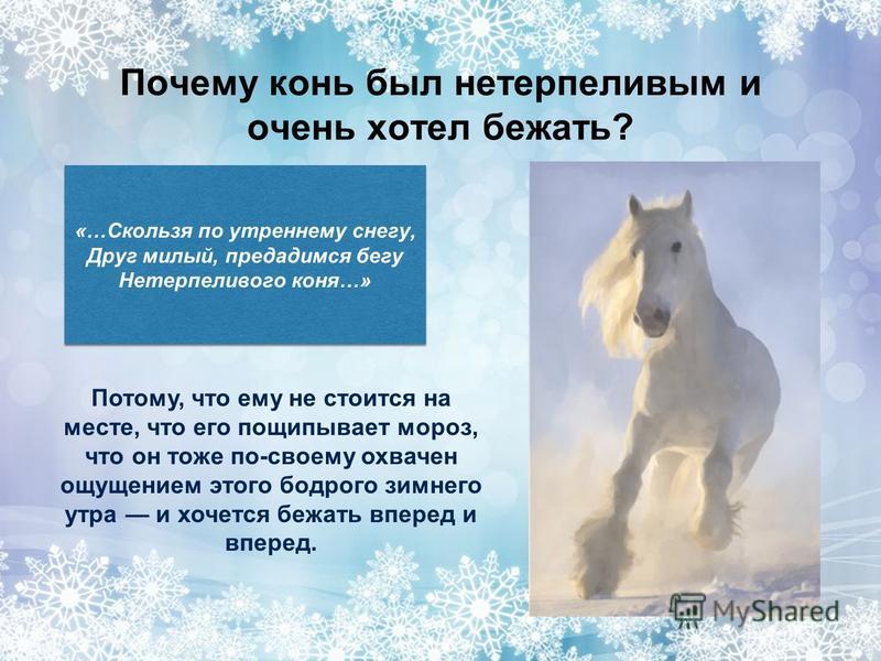 Почему конь был нетерпеливым и очень хотел бежать? «…Скользя по утреннему снегу, Друг милый, предадимся бегу Нетерпеливого коня…» «…Скользя по утреннему снегу, Друг милый, предадимся бегу Нетерпеливого коня…» Потому, что ему не стоится на месте, что 
