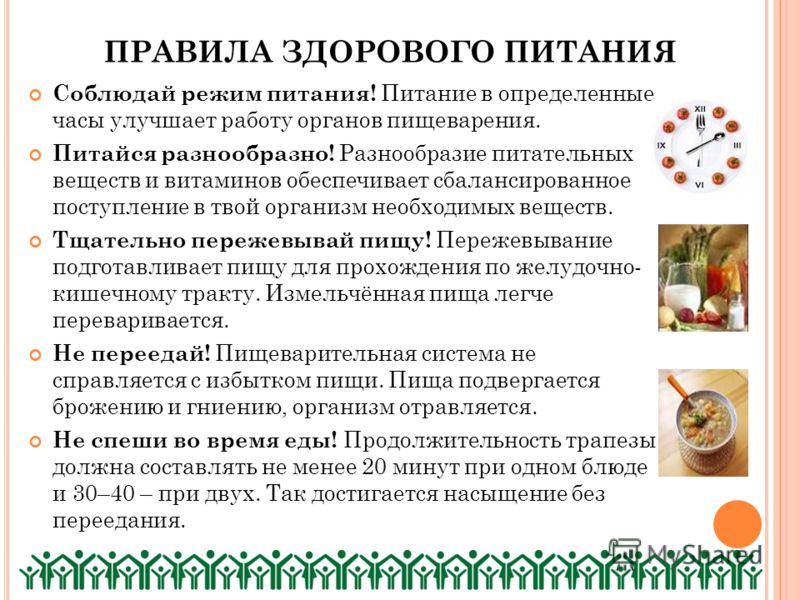 режим здорового питания для похудения режим здорового питания для похудения