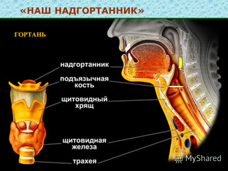 Чем обезболить ребенку боли в коленях