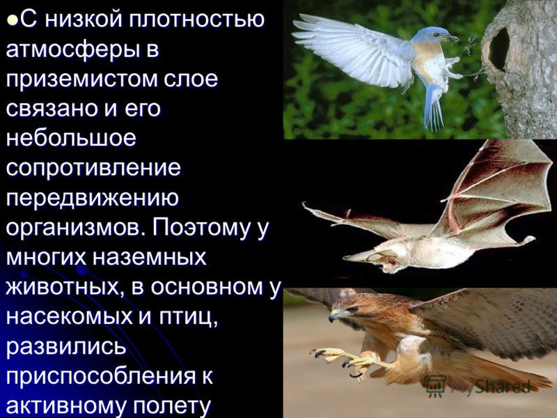 Расскажите анекдоты веселые Расскажите анекдоты веселые