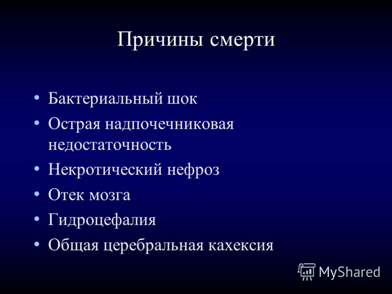 Менингит серозный сыпь Менингит серозный сыпь