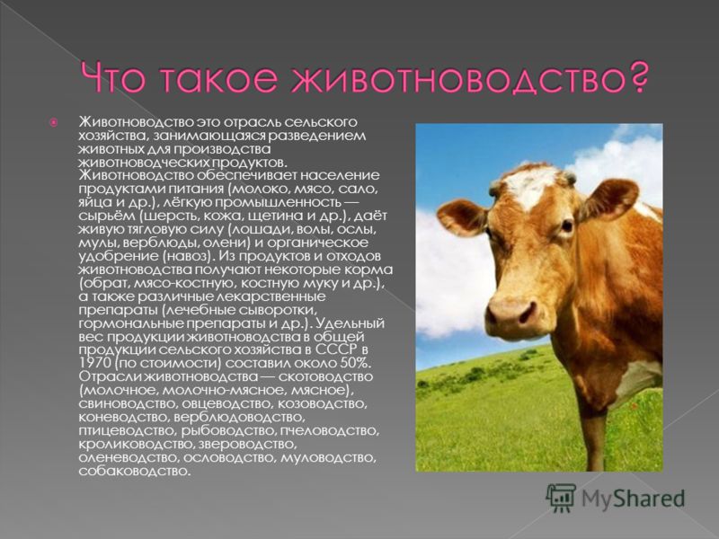 Вязание презентация Вязание презентация