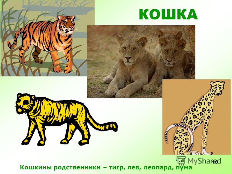 Что делать если любимый человек остыл 100