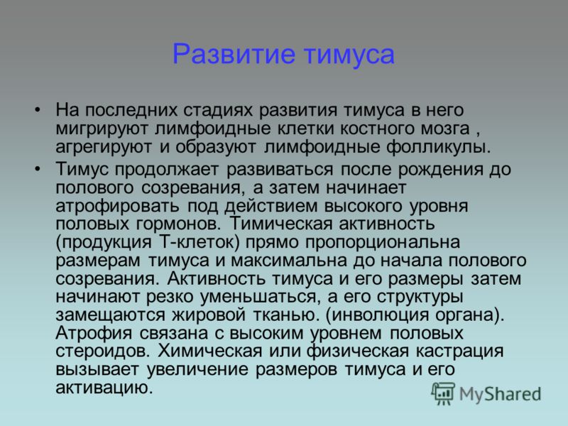 Подготовка к процедуре увеличения пениса