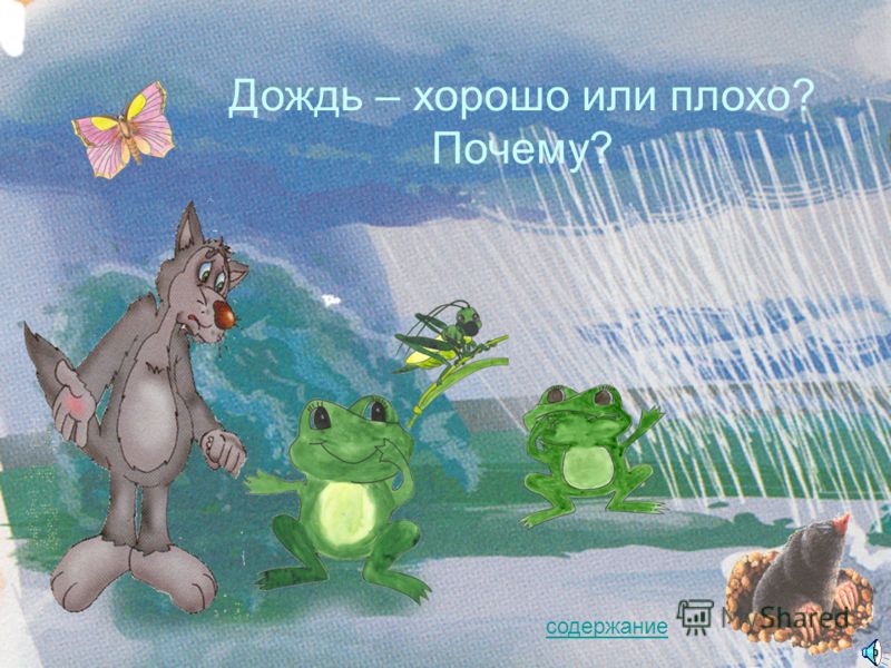 дождь в лесу скачать дождь в лесу скачать