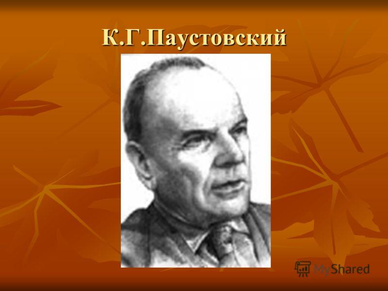 Александр Свияш Разумный мир. Как жить без лишних переживаний