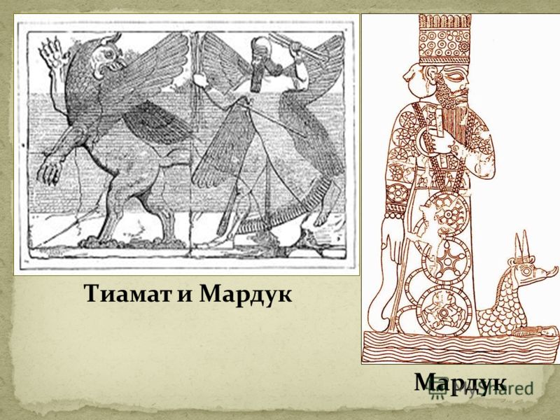 Утверждают