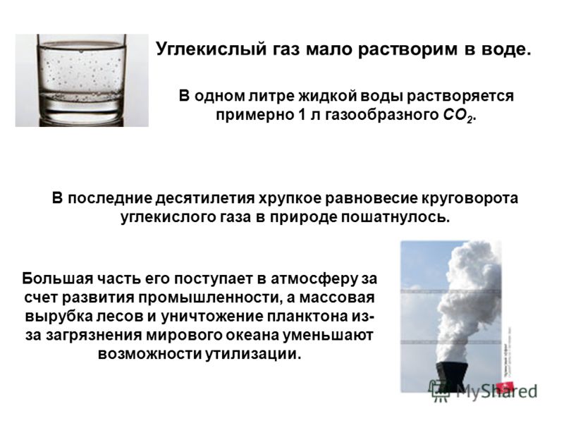 Шины в москве зимой