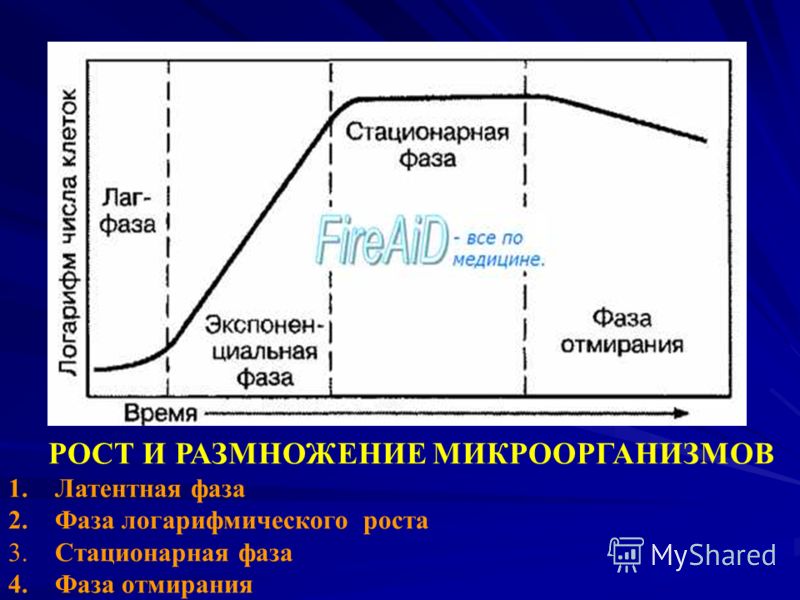 как избежать запаха изо рта как избежать запаха изо рта