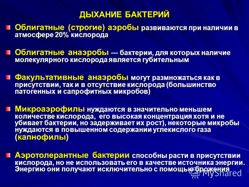 бывают ли глисты у взрослых людей бывают ли глисты у взрослых людей