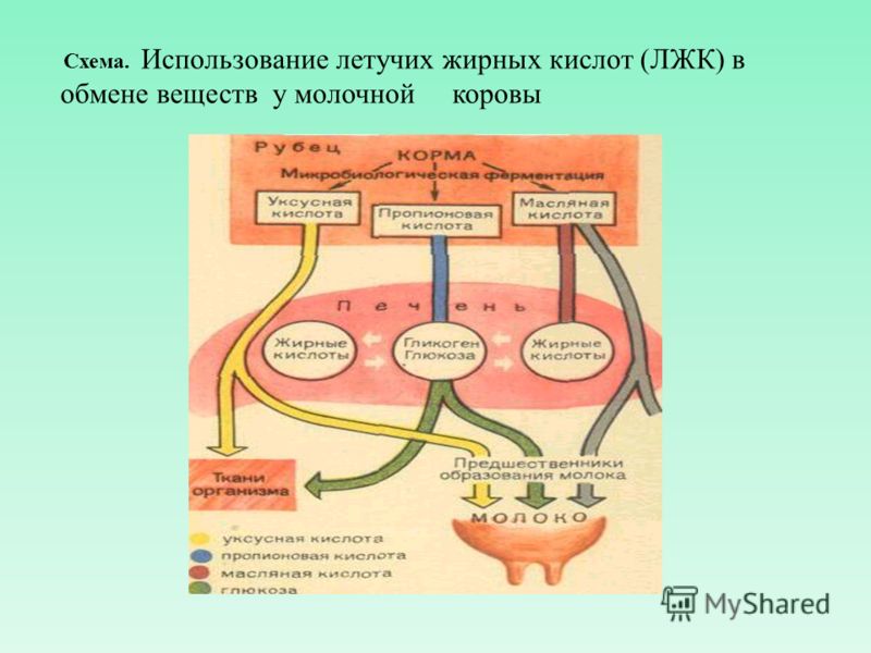 Очень болит грудь но месячные не начинаются