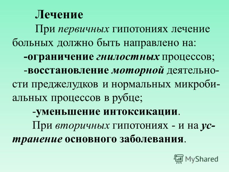 Массаж рубца у коровы Массаж рубца у коровы