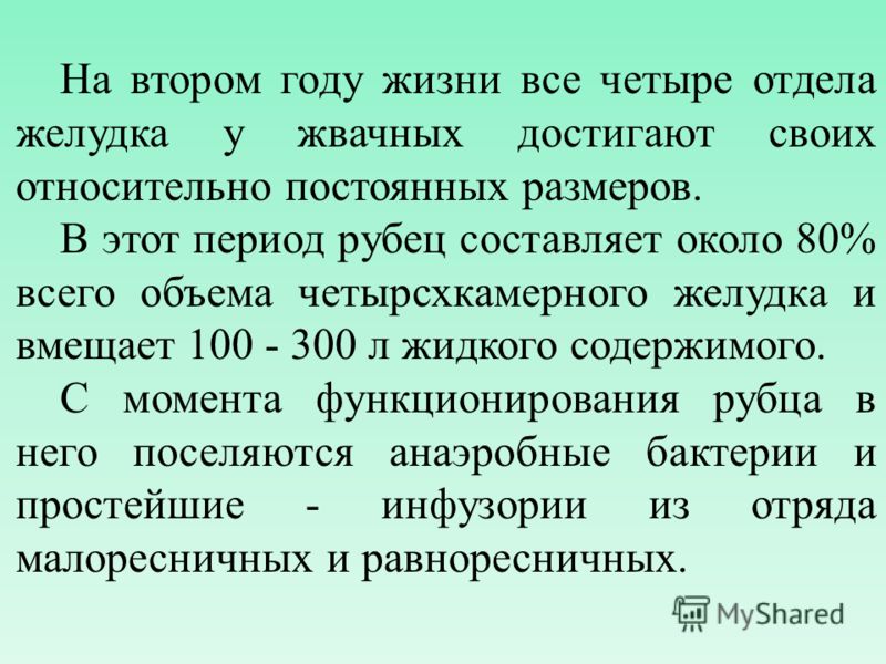 Остеохондроз шеи боль в горле