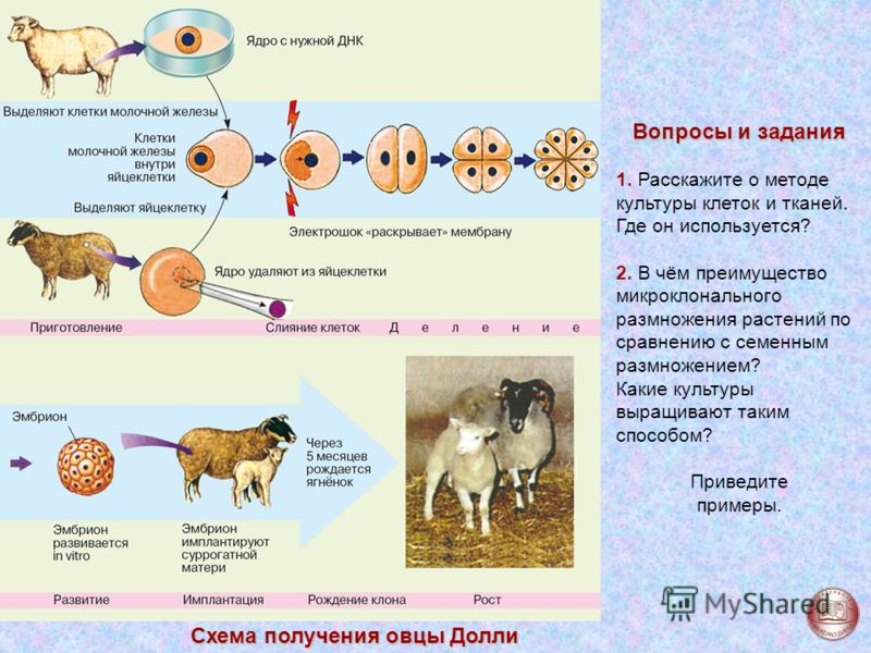 Миротворцев павел степанович все книги читать онлайн