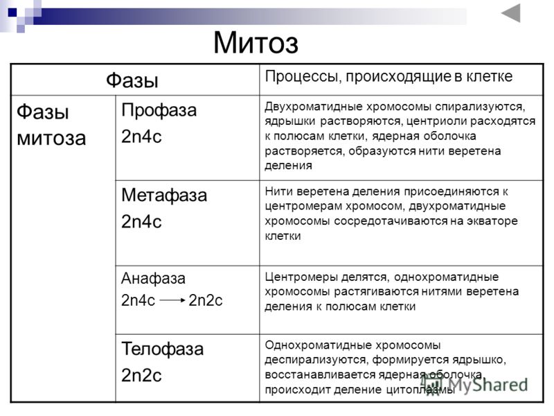 Презентация На Тему Организация Презентация На Тему Организация