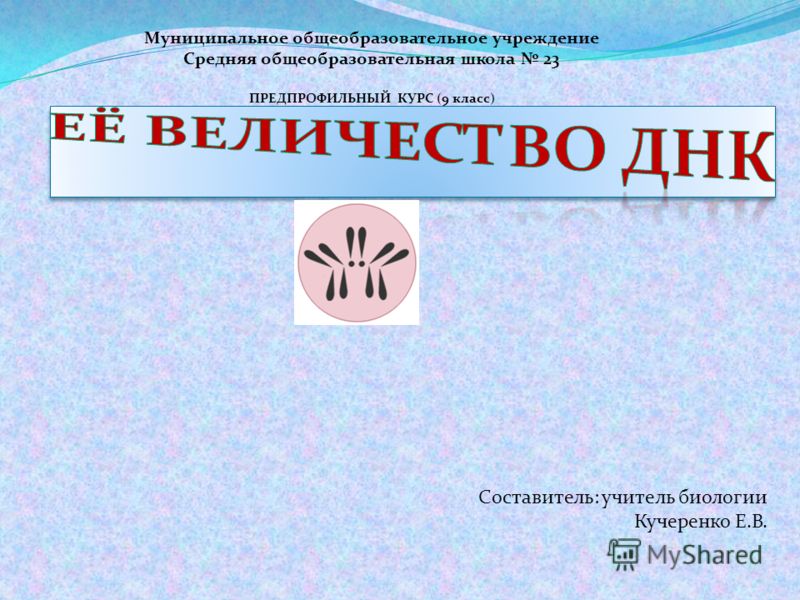 Spravka O Srednespisochnoj Chislennosti Rabotnikov Obrazec Rb Spravka O Srednespisochnoj Chislennosti Rabotnikov Obrazec Rb
