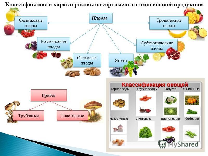 Реферат: Плодоовощные товары экзотические фрукты