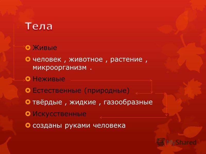 предметы живой и неживой природы