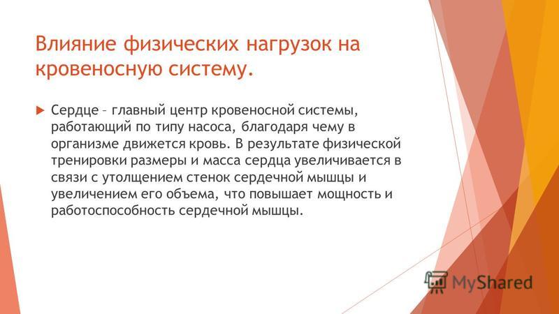 Проект влияние физической нагрузки на мышцы
