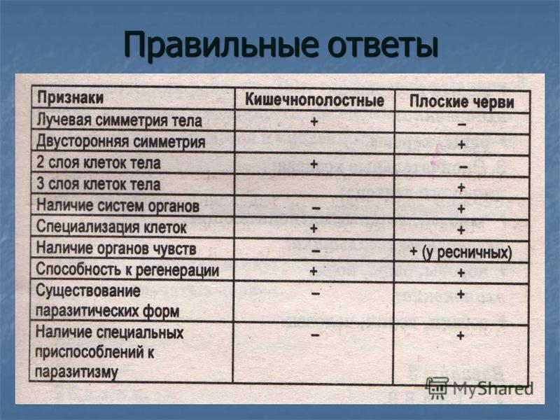 Презентация на тему: "Морские кишечнополостные Биология 7 класс.". Скачать беспл